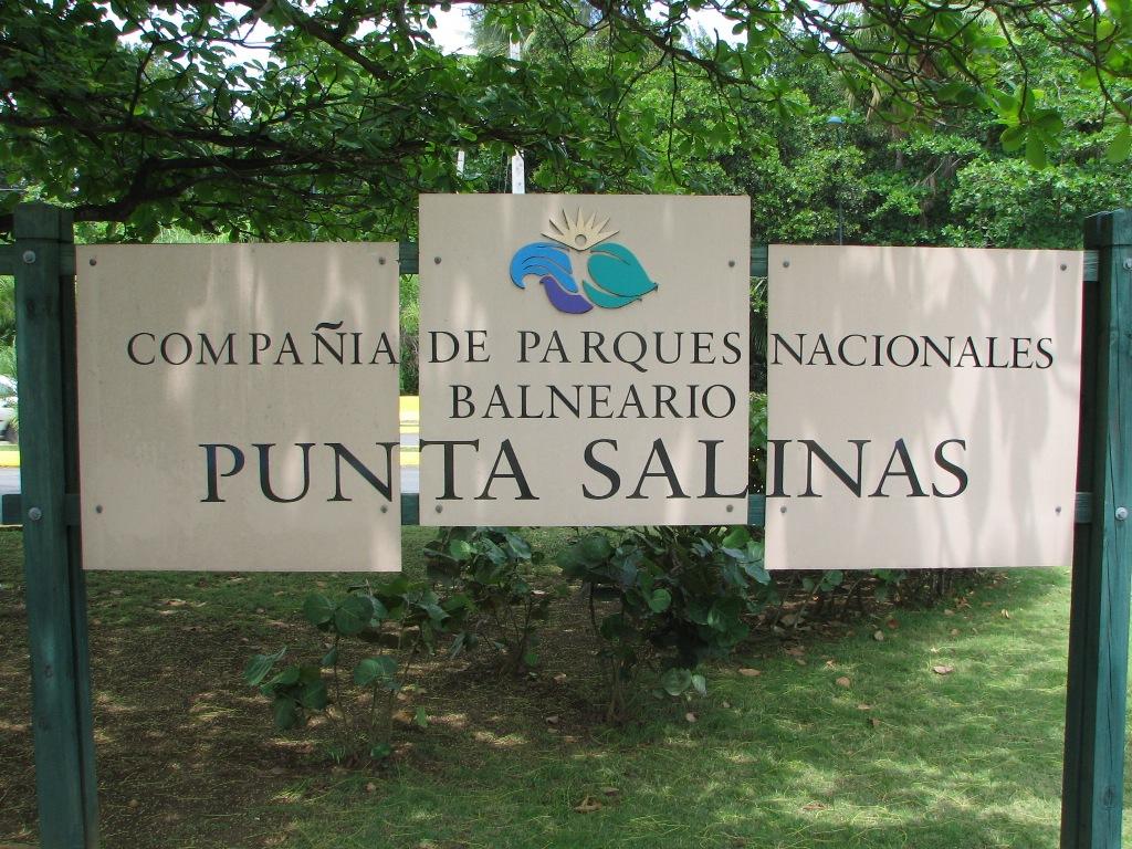 Pdf map Toa Baja Puerto Rico